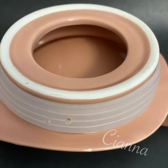 Rae Dunn Oink Pig Canister